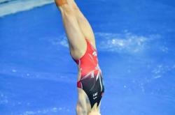 lol战绩查询-河南队员全力冲击，期待突破魔咒的简单介绍